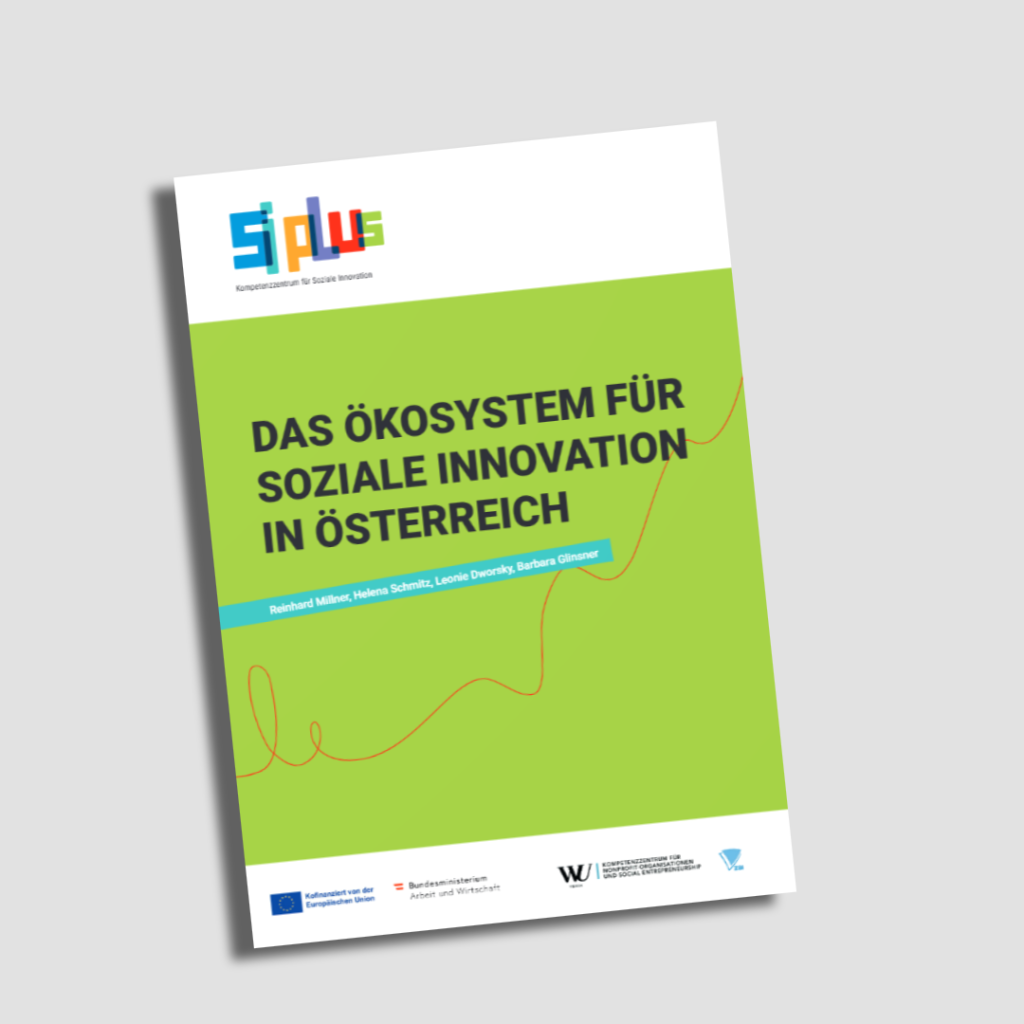 Bericht "das Ökosystem für soziale Innovation" vor grauem Hintergrund
