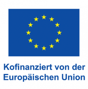 DE V Kofinanziert von der Europ„ischen Union_POS